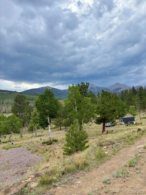 MLS Image #5 for 36266  county road nn 46 ,villa grove, Colorado