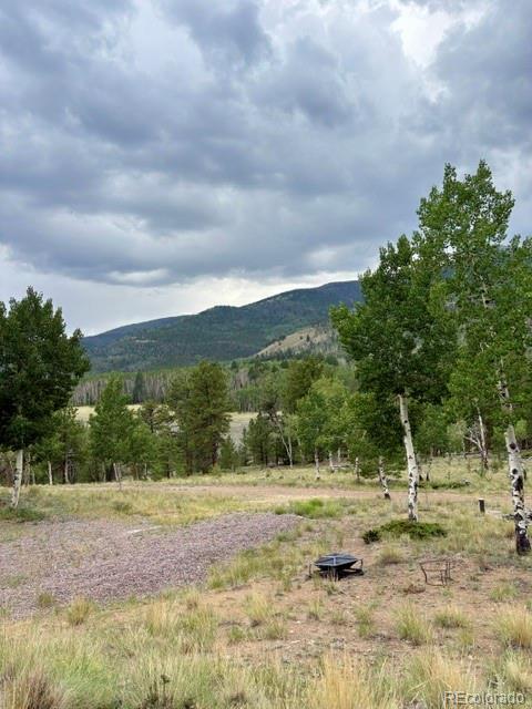 MLS Image #6 for 36266  county road nn 46 ,villa grove, Colorado