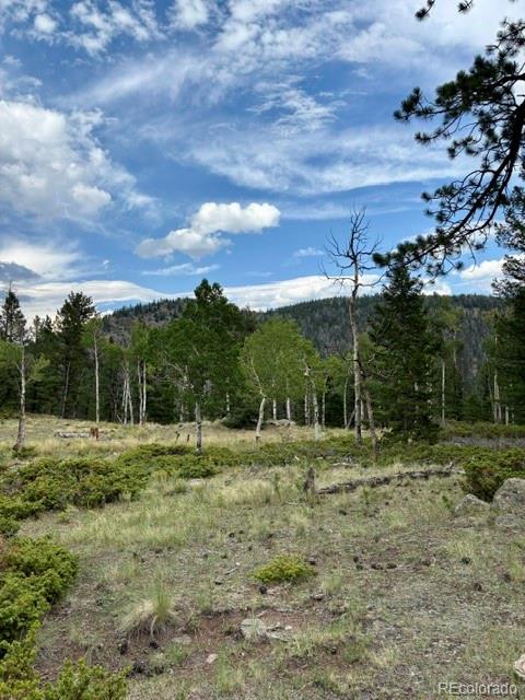 MLS Image #7 for 36266  county road nn 46 ,villa grove, Colorado