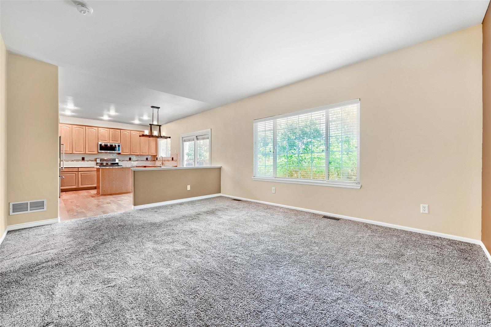 MLS Image #8 for 20502 e union avenue,aurora, Colorado
