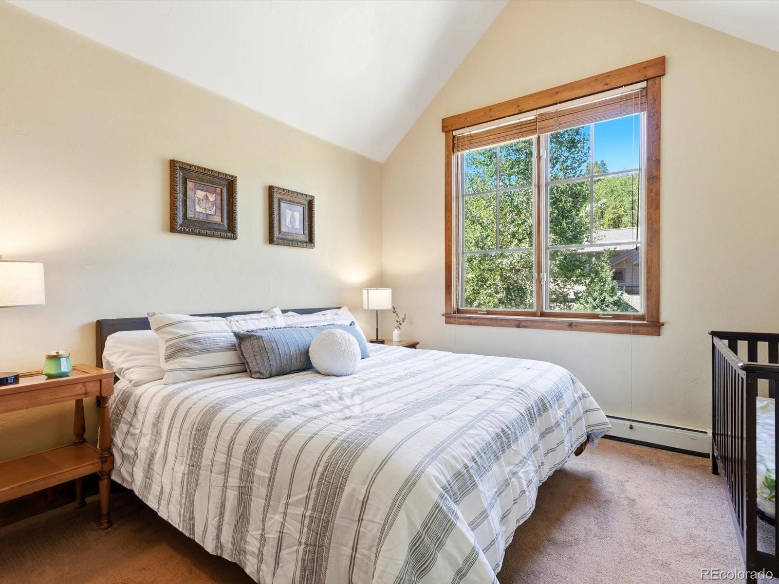 MLS Image #16 for 63  mountain thunder drive,breckenridge, Colorado