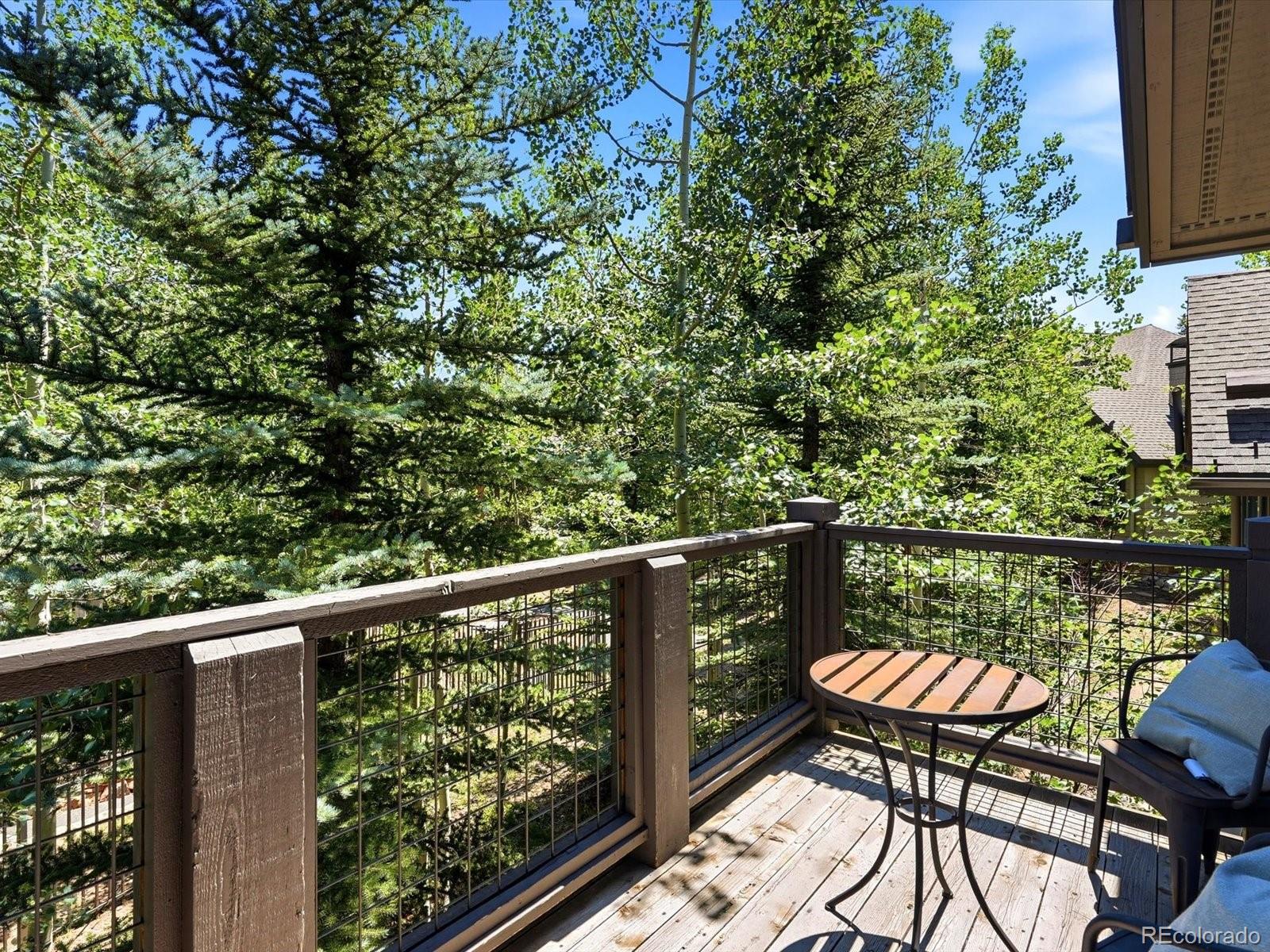 MLS Image #18 for 63  mountain thunder drive,breckenridge, Colorado