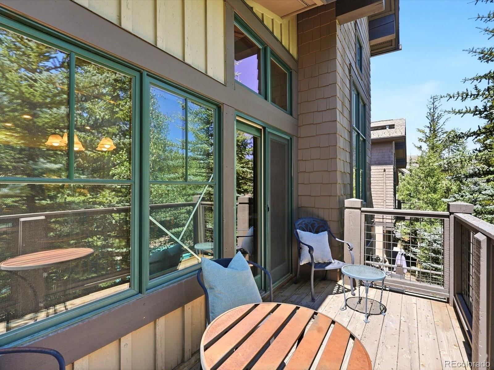 MLS Image #19 for 63  mountain thunder drive,breckenridge, Colorado