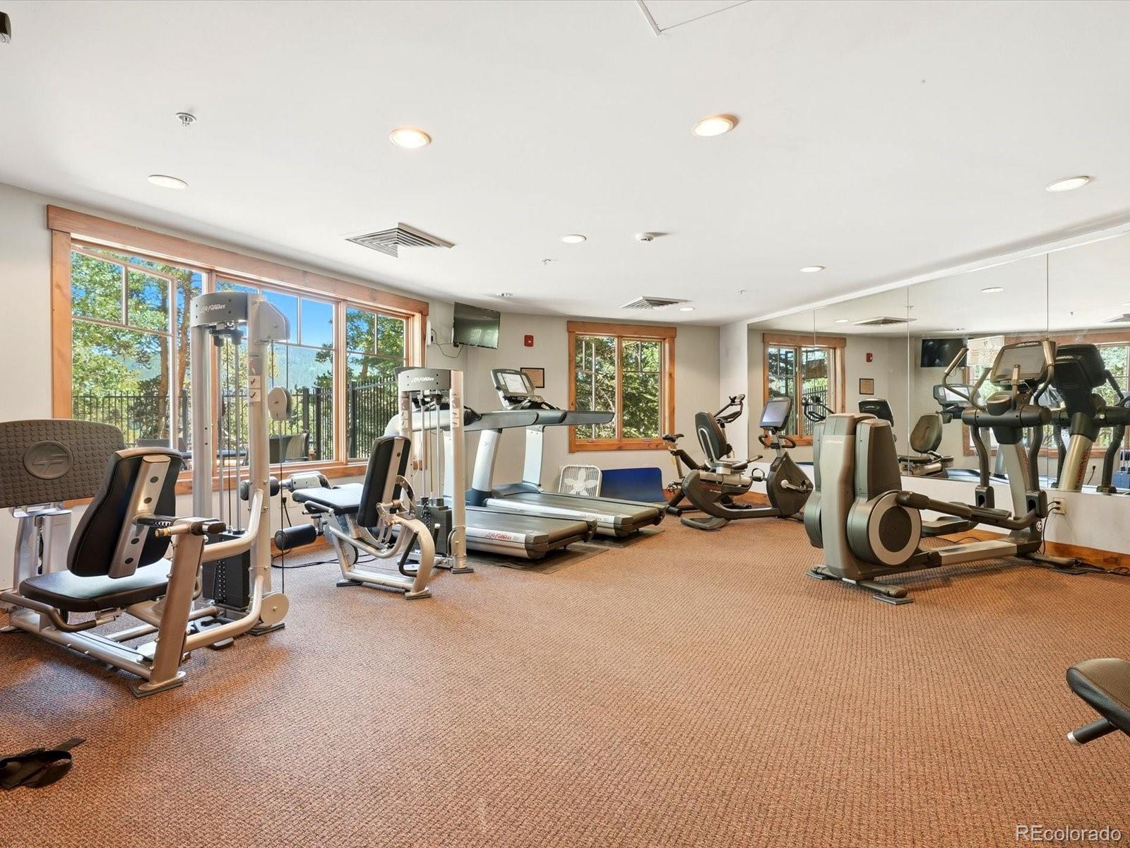 MLS Image #21 for 63  mountain thunder drive,breckenridge, Colorado