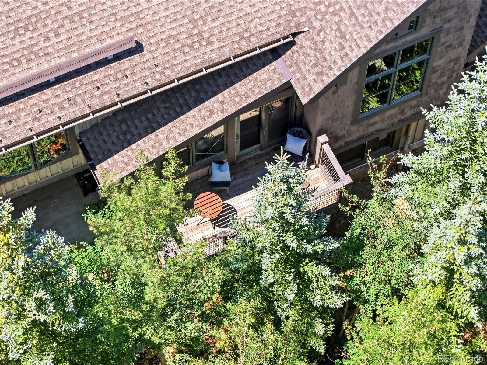 MLS Image #26 for 63  mountain thunder drive,breckenridge, Colorado