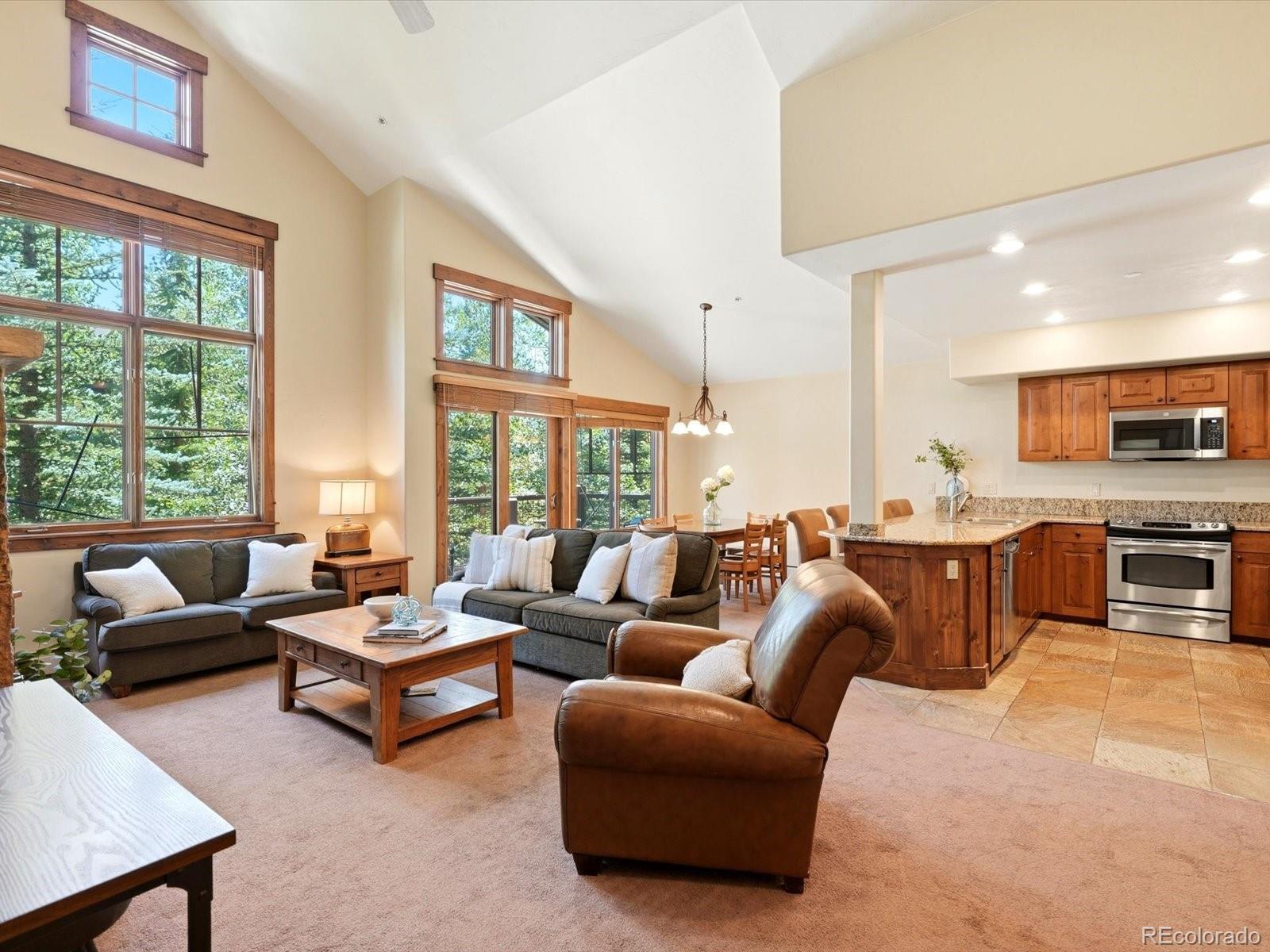 MLS Image #6 for 63  mountain thunder drive,breckenridge, Colorado