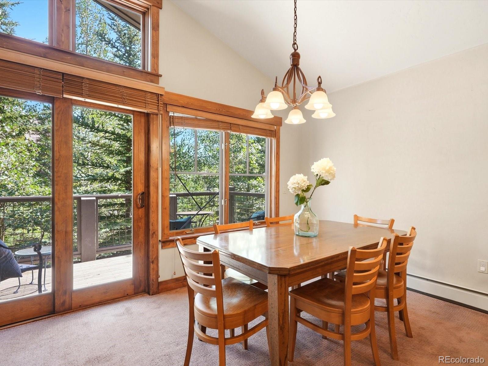 MLS Image #8 for 63  mountain thunder drive,breckenridge, Colorado