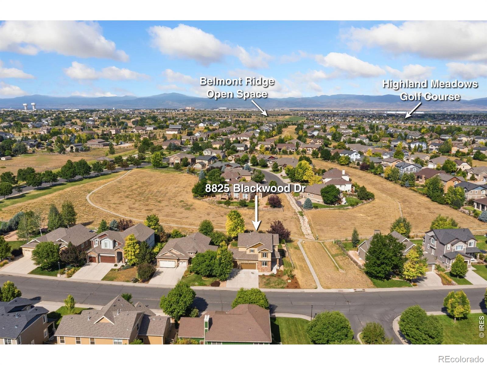 MLS Image #2 for 8825  blackwood drive,windsor, Colorado