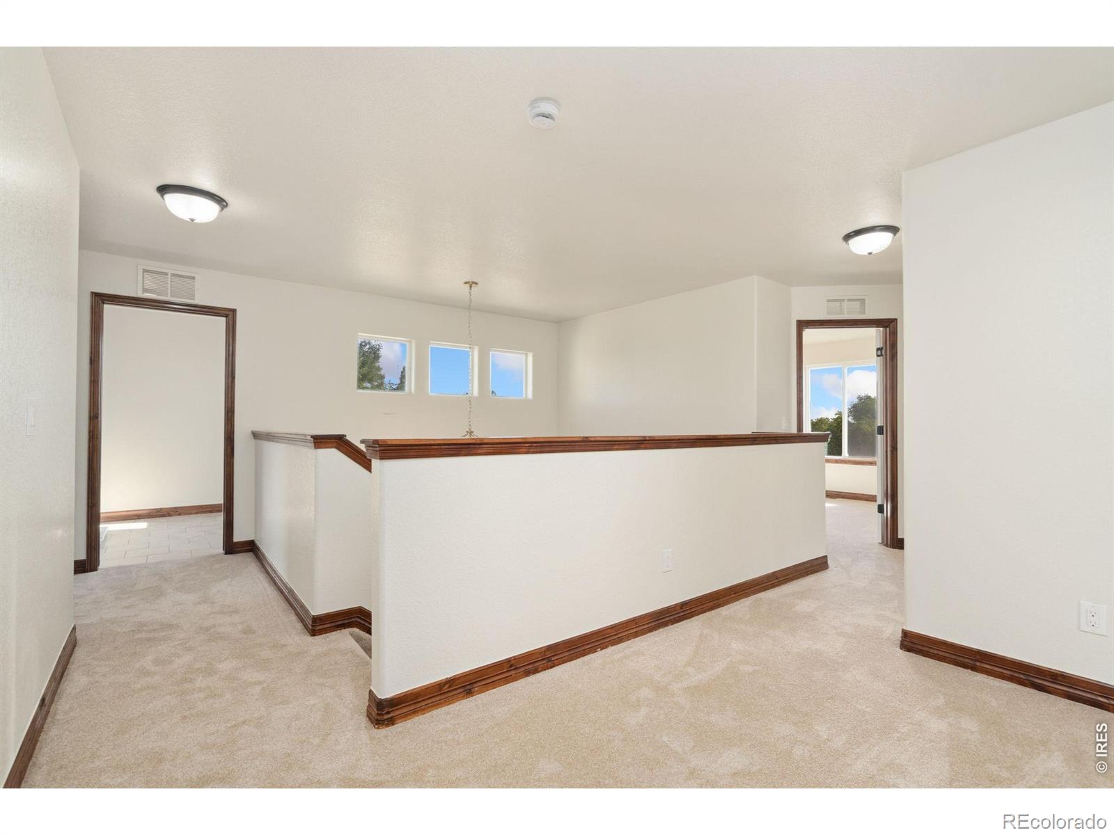 MLS Image #20 for 8825  blackwood drive,windsor, Colorado