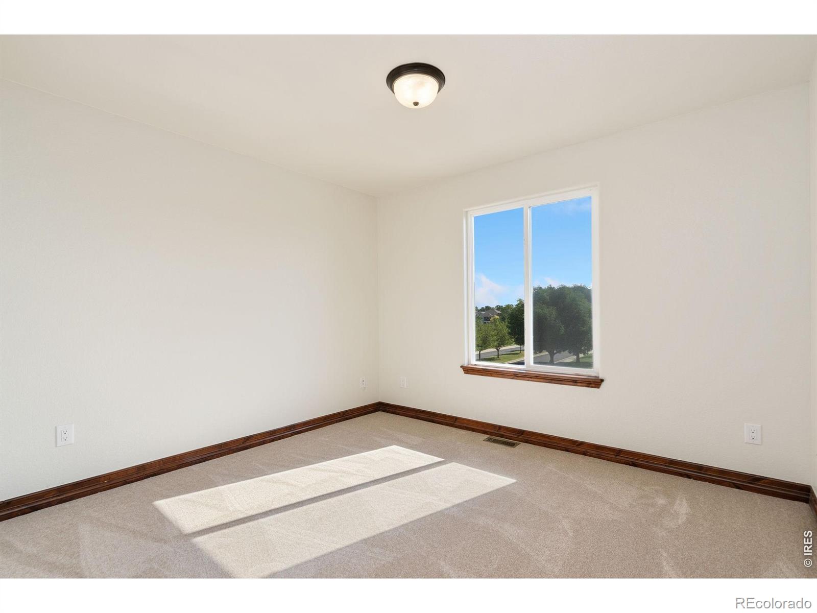 MLS Image #33 for 8825  blackwood drive,windsor, Colorado