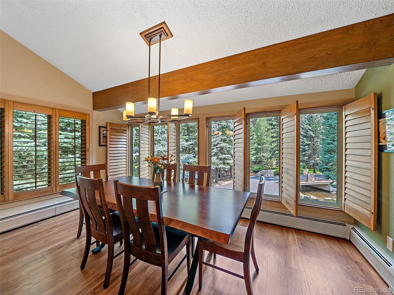 MLS Image #15 for 34393  upper bear creek road,evergreen, Colorado