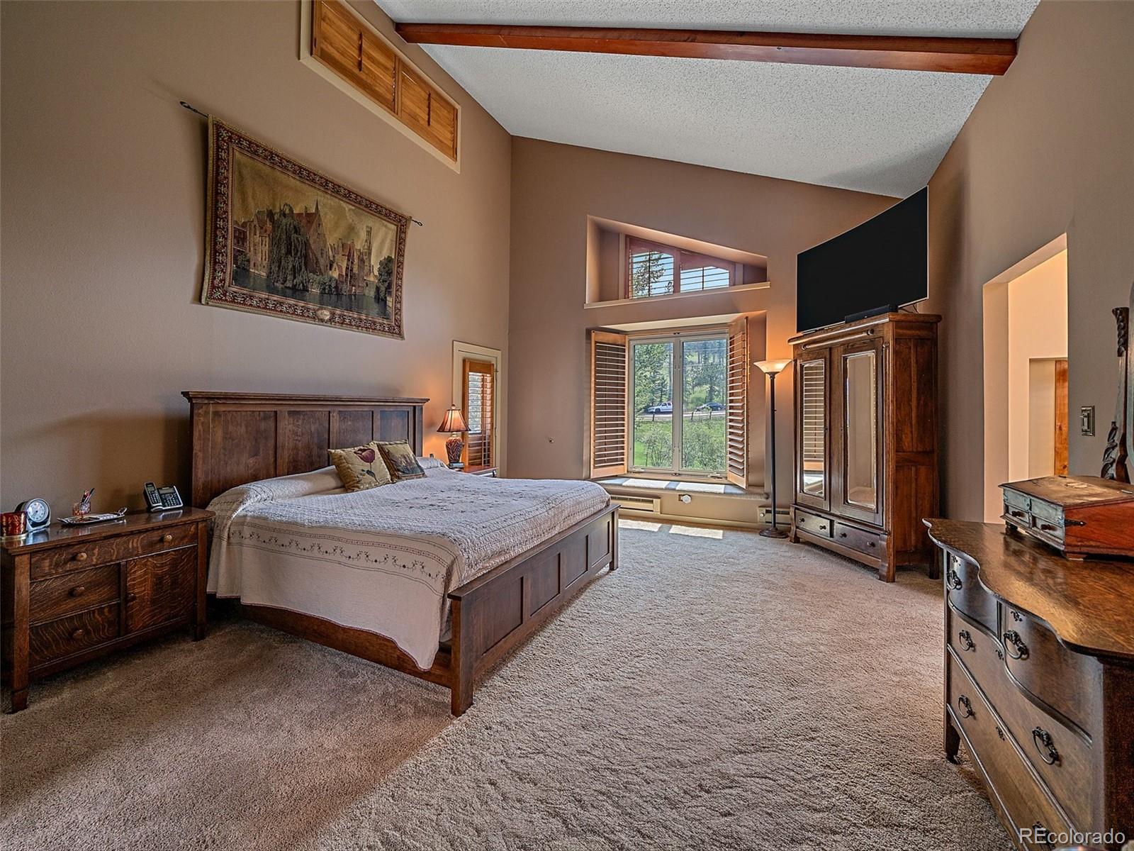MLS Image #19 for 34393  upper bear creek road,evergreen, Colorado
