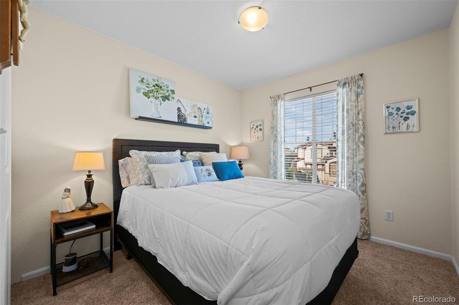 MLS Image #19 for 3232  green haven circle,littleton, Colorado