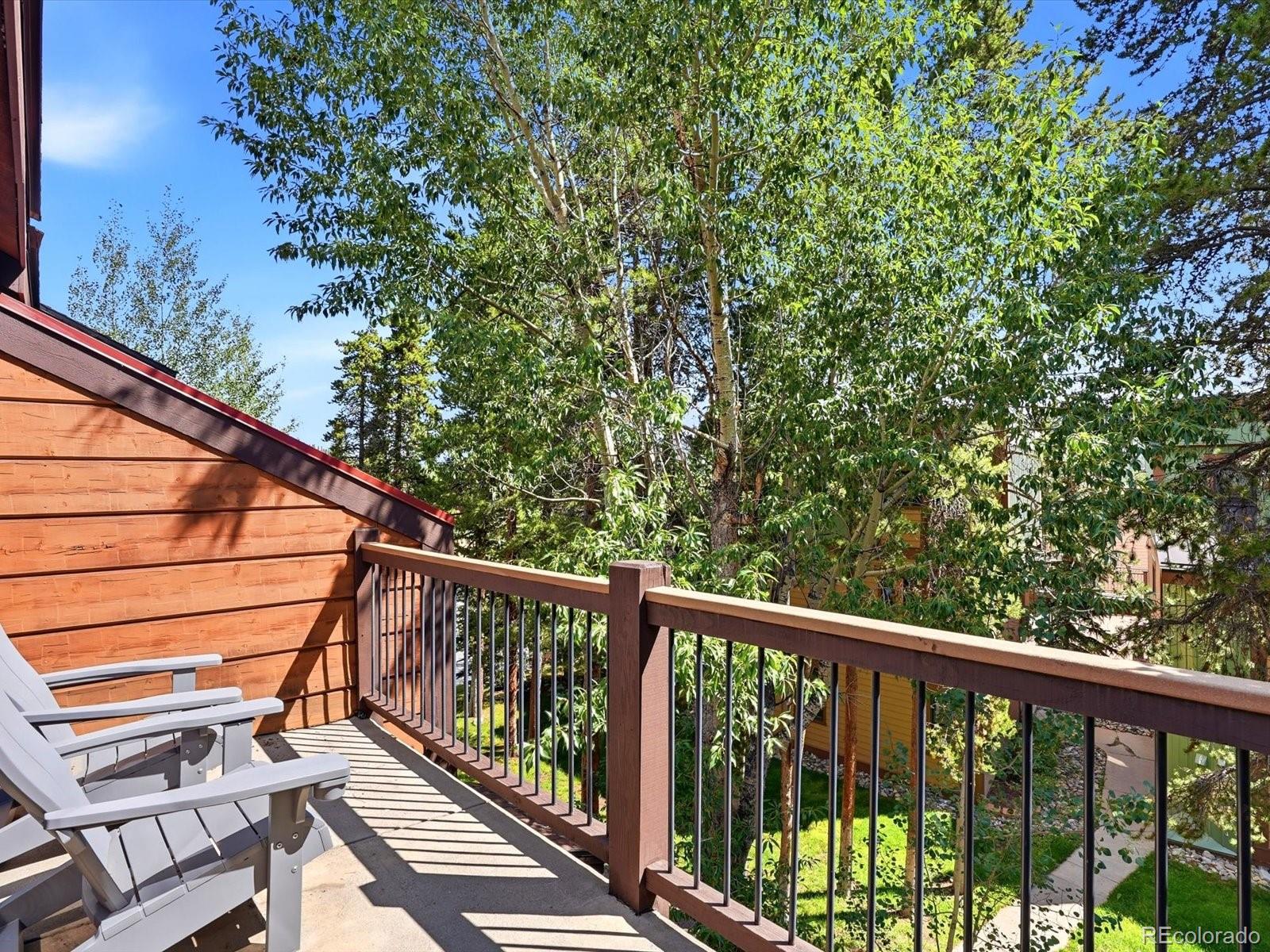 MLS Image #18 for 200  primrose path,breckenridge, Colorado