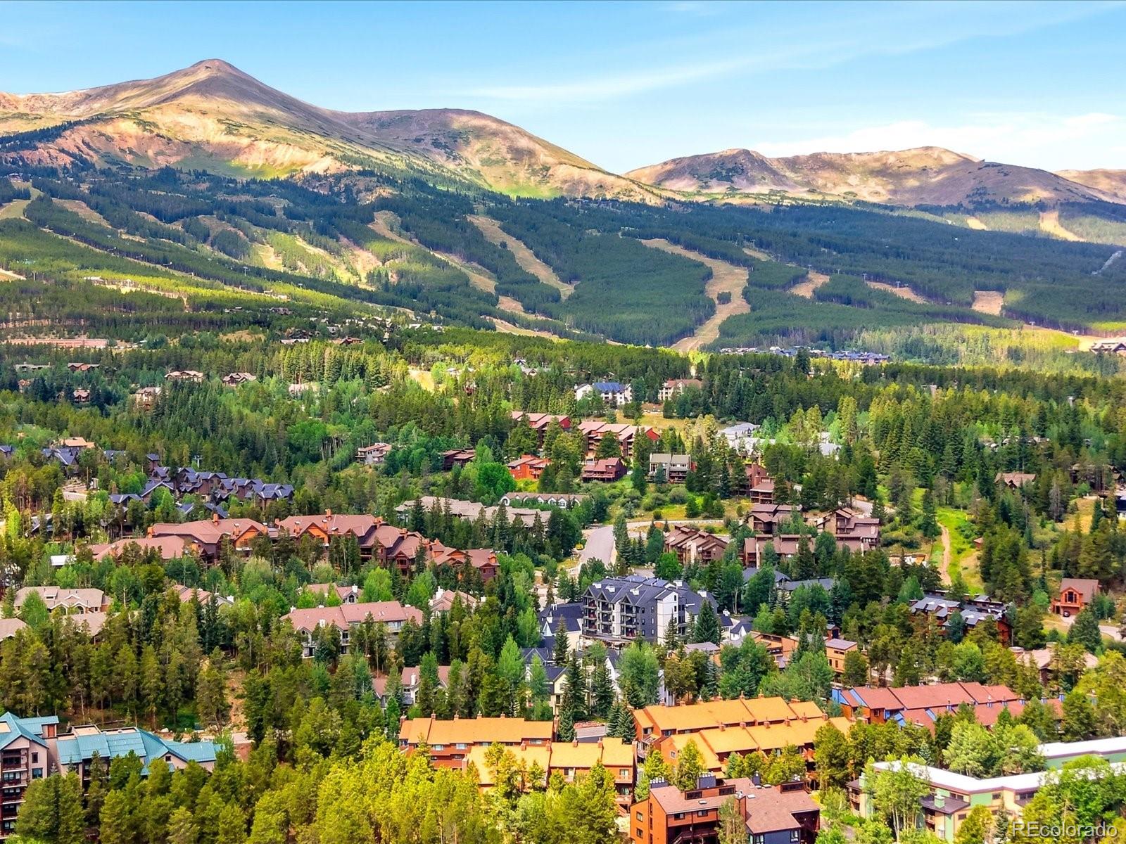 MLS Image #29 for 200  primrose path,breckenridge, Colorado