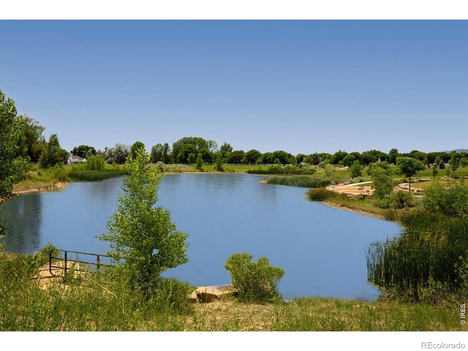 MLS Image #2 for 3331  sapinero drive,loveland, Colorado