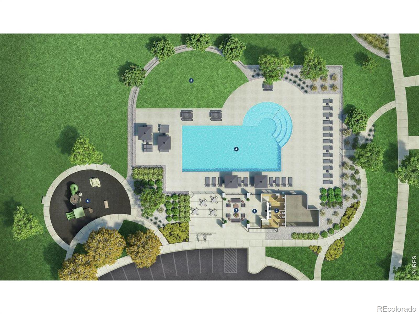MLS Image #6 for 3331  sapinero drive,loveland, Colorado