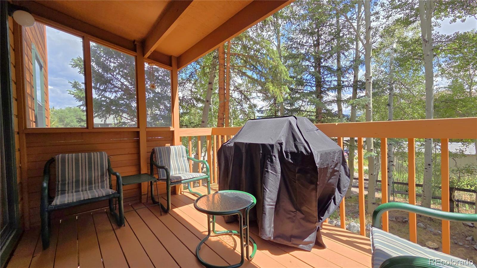MLS Image #11 for 600 s 5th avenue,frisco, Colorado