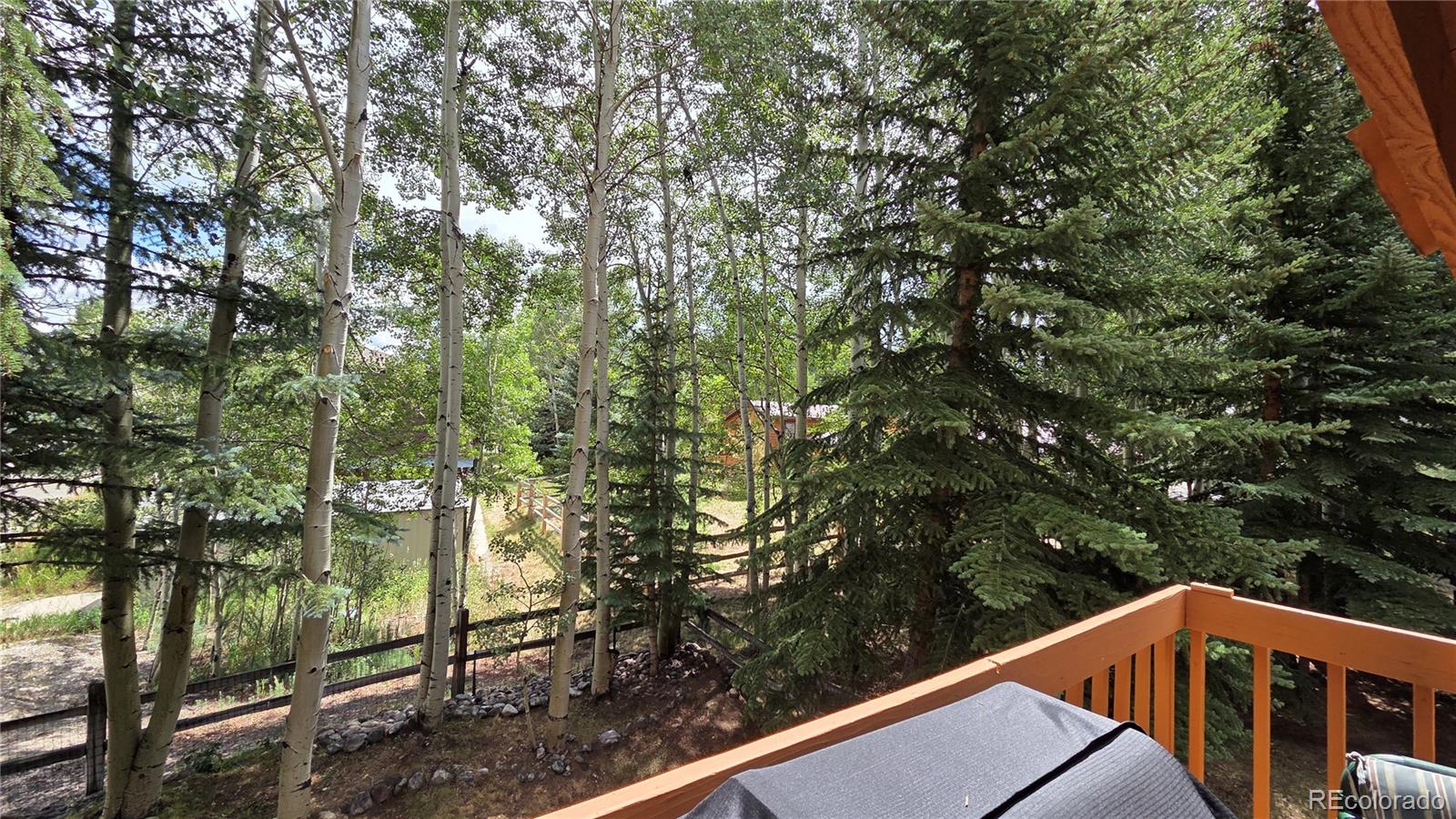 MLS Image #12 for 600 s 5th avenue,frisco, Colorado