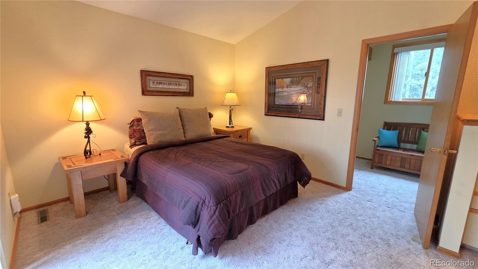 MLS Image #21 for 600 s 5th avenue,frisco, Colorado