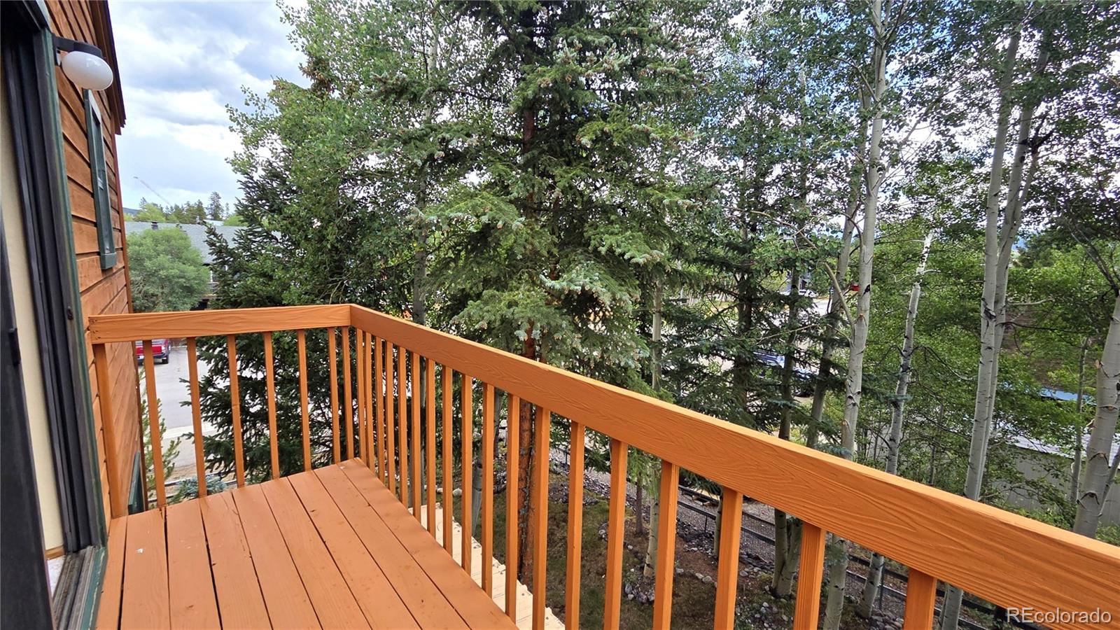 MLS Image #23 for 600 s 5th avenue,frisco, Colorado