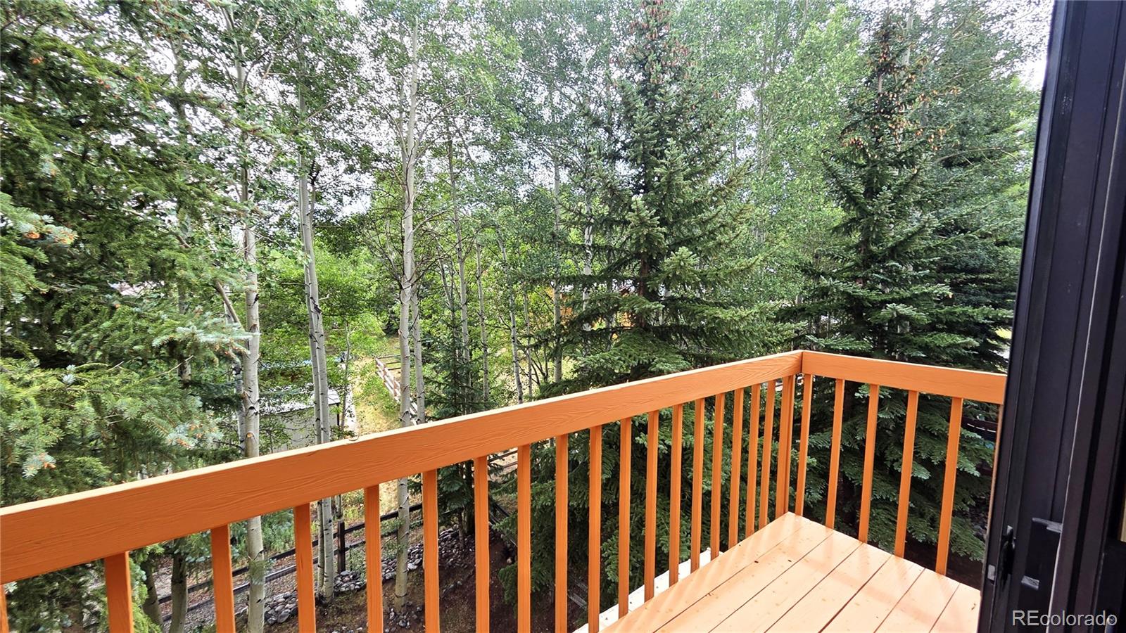 MLS Image #24 for 600 s 5th avenue,frisco, Colorado