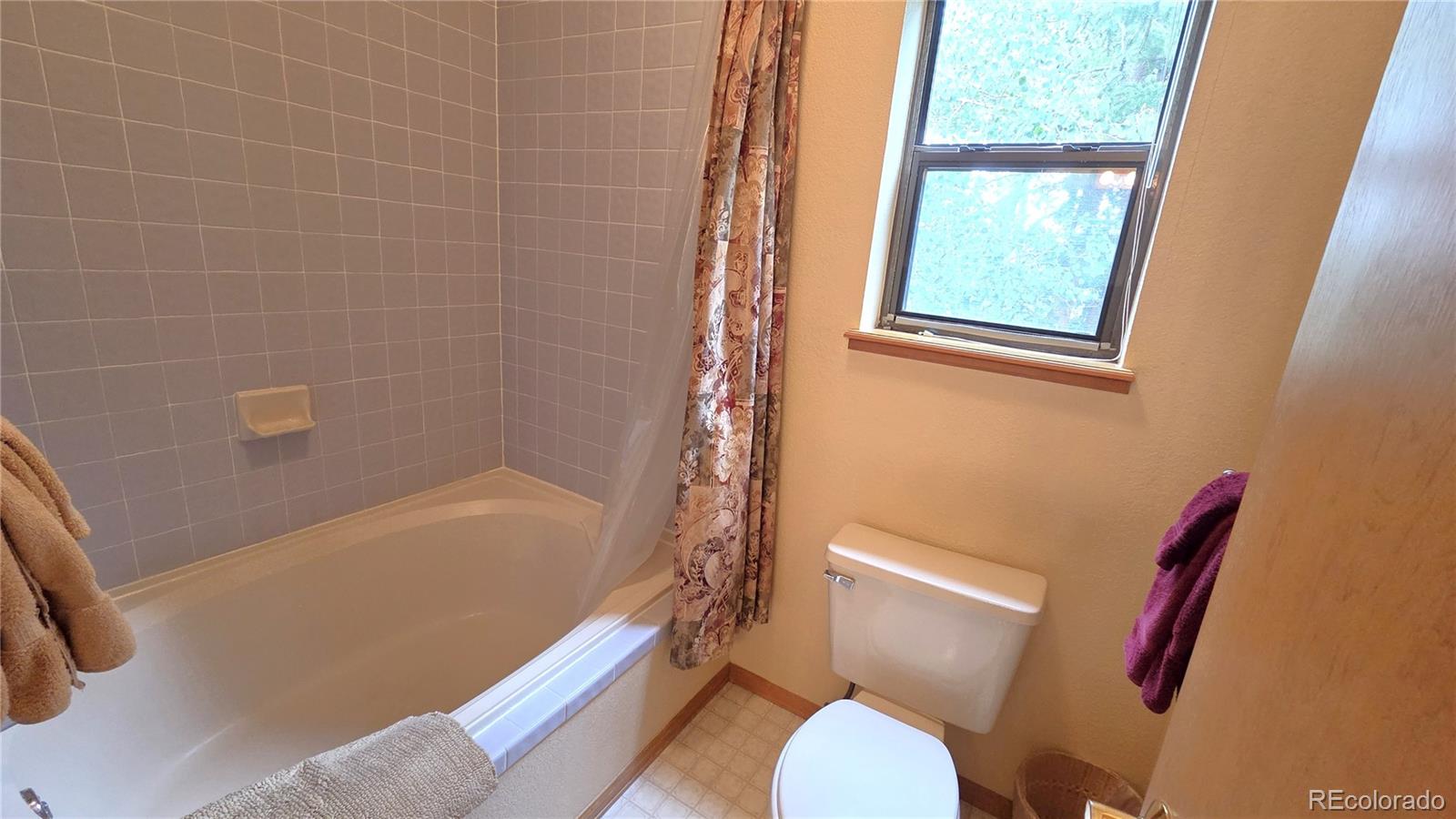 MLS Image #27 for 600 s 5th avenue,frisco, Colorado