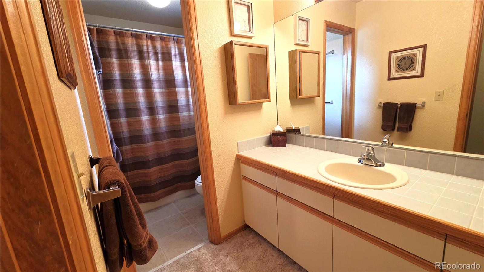 MLS Image #40 for 600 s 5th avenue,frisco, Colorado