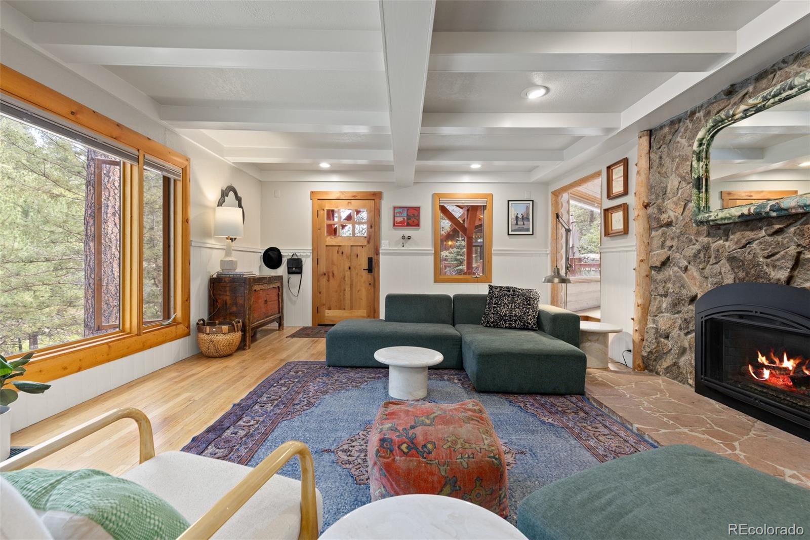 MLS Image #12 for 30264  upper bear creek road,evergreen, Colorado
