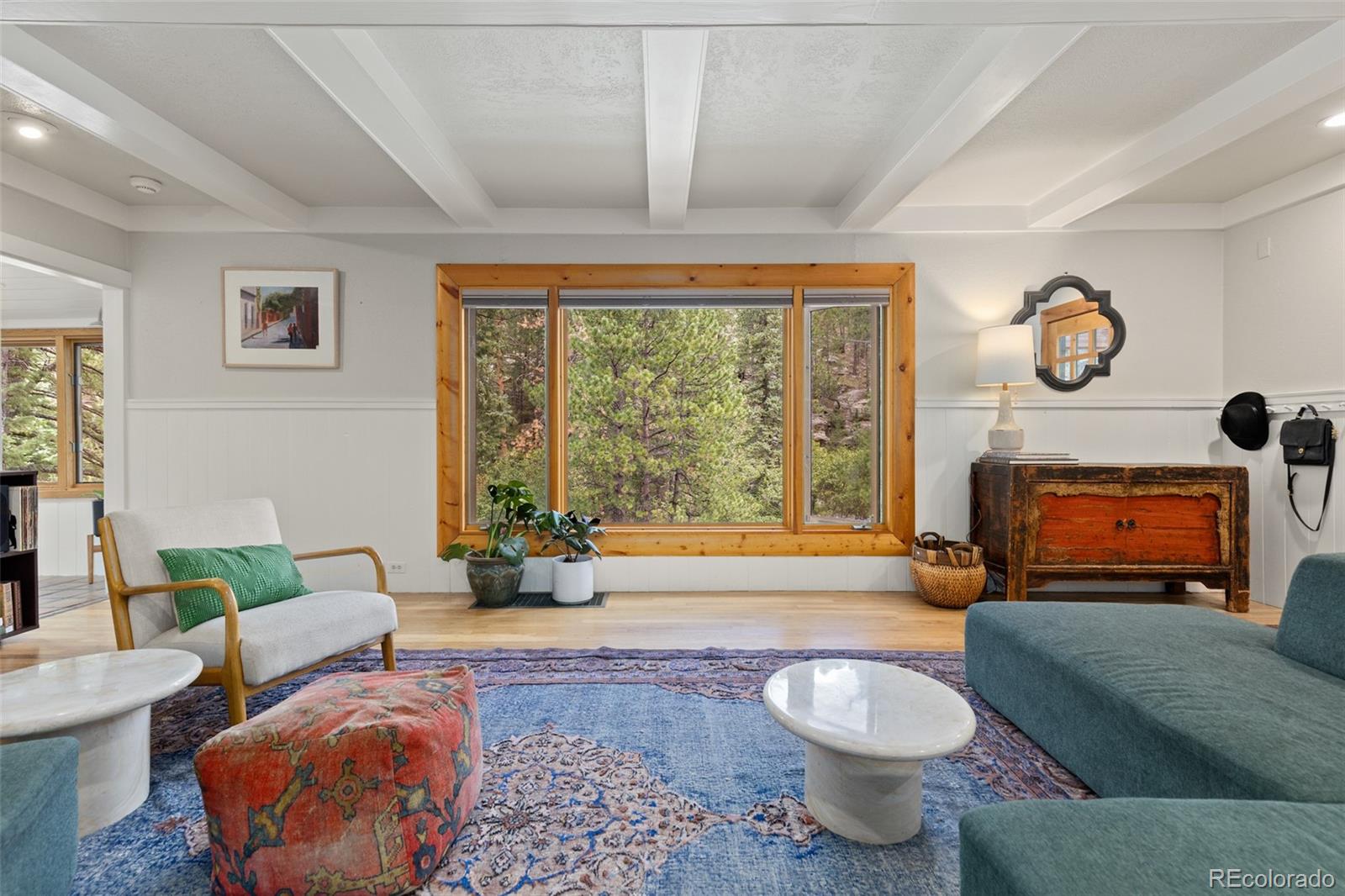 MLS Image #14 for 30264  upper bear creek road,evergreen, Colorado