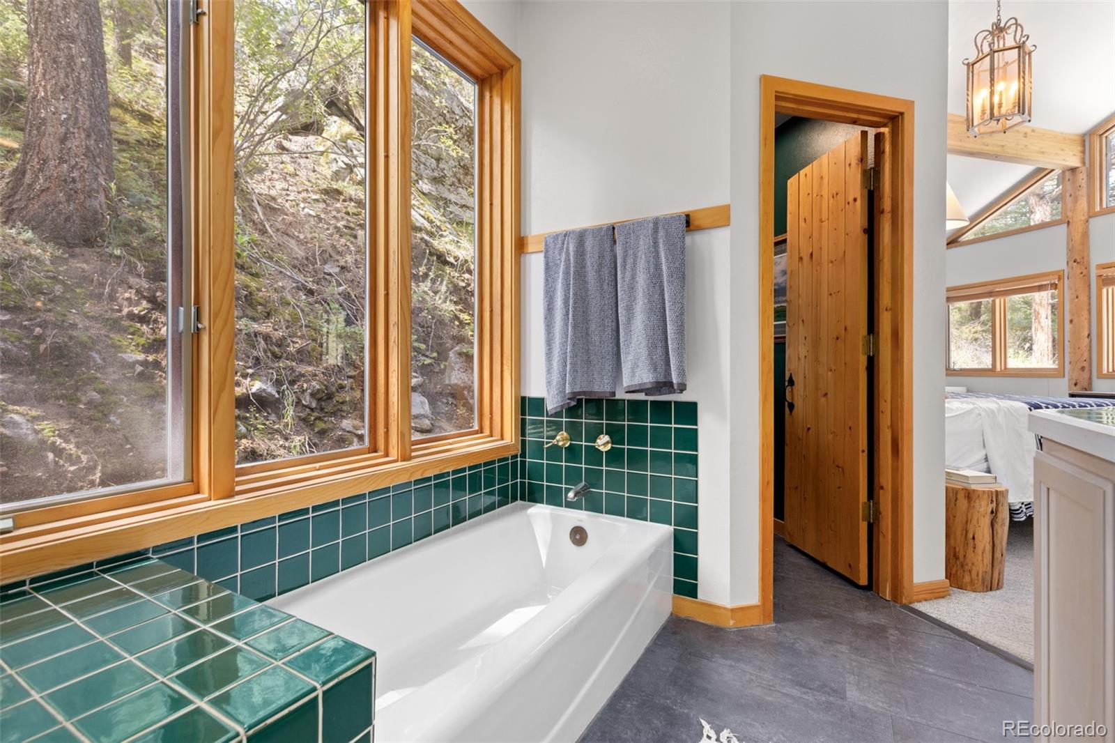 MLS Image #36 for 30264  upper bear creek road,evergreen, Colorado