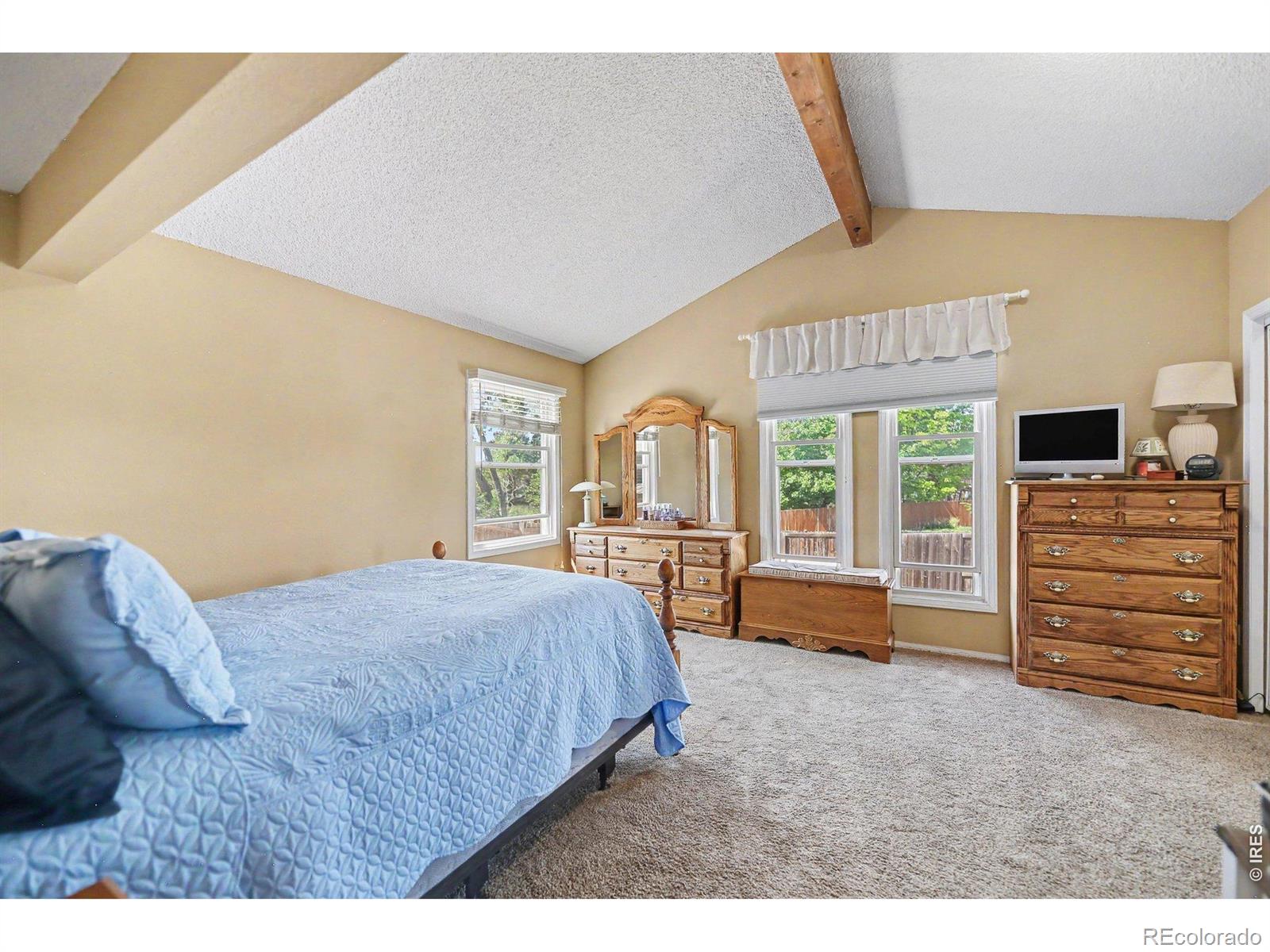 MLS Image #15 for 13017  clayton court,thornton, Colorado