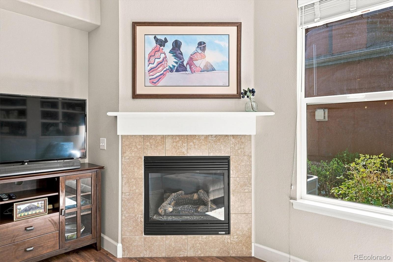 MLS Image #10 for 649 w burgundy street c,highlands ranch, Colorado