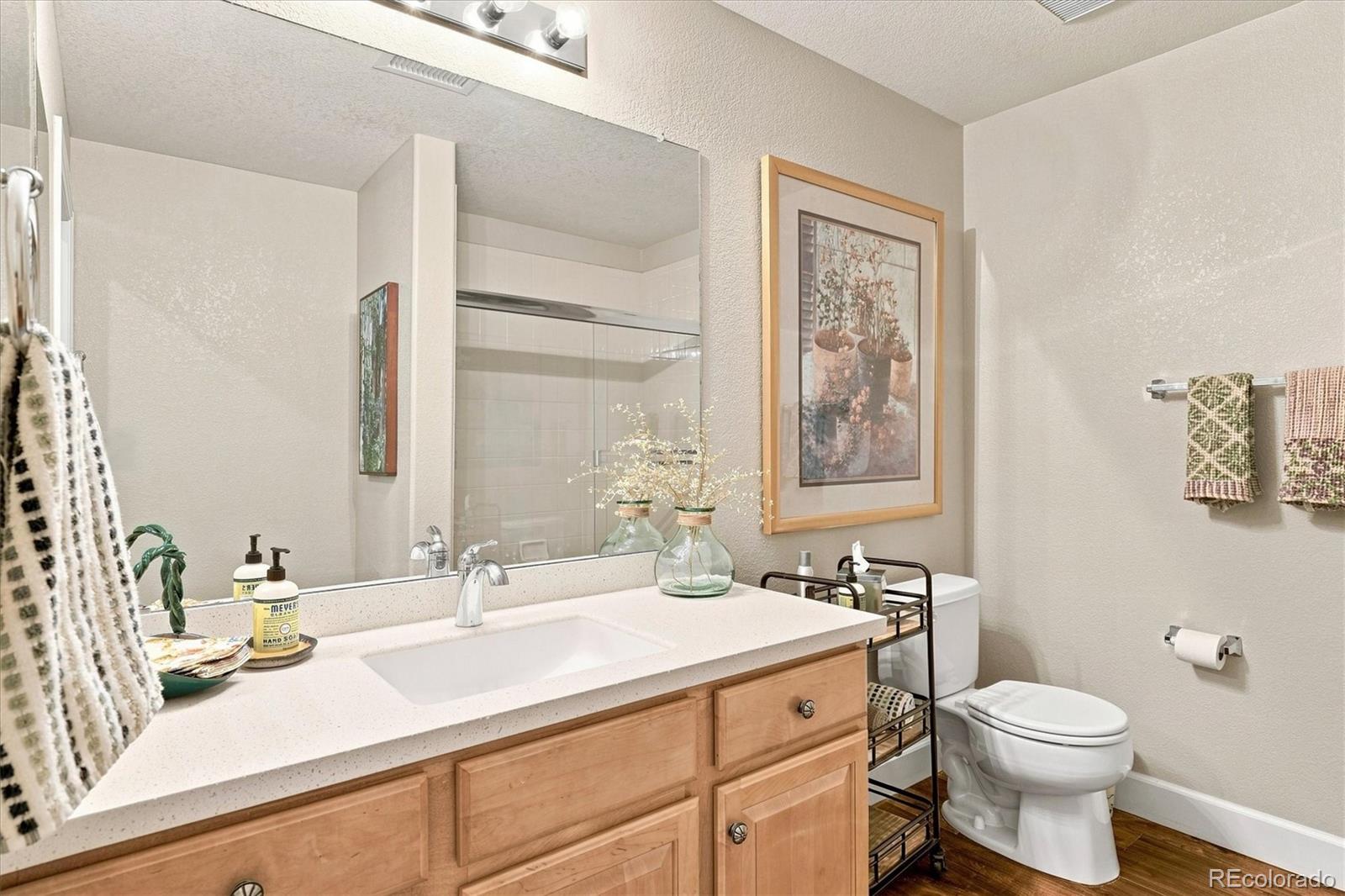 MLS Image #26 for 649 w burgundy street c,highlands ranch, Colorado