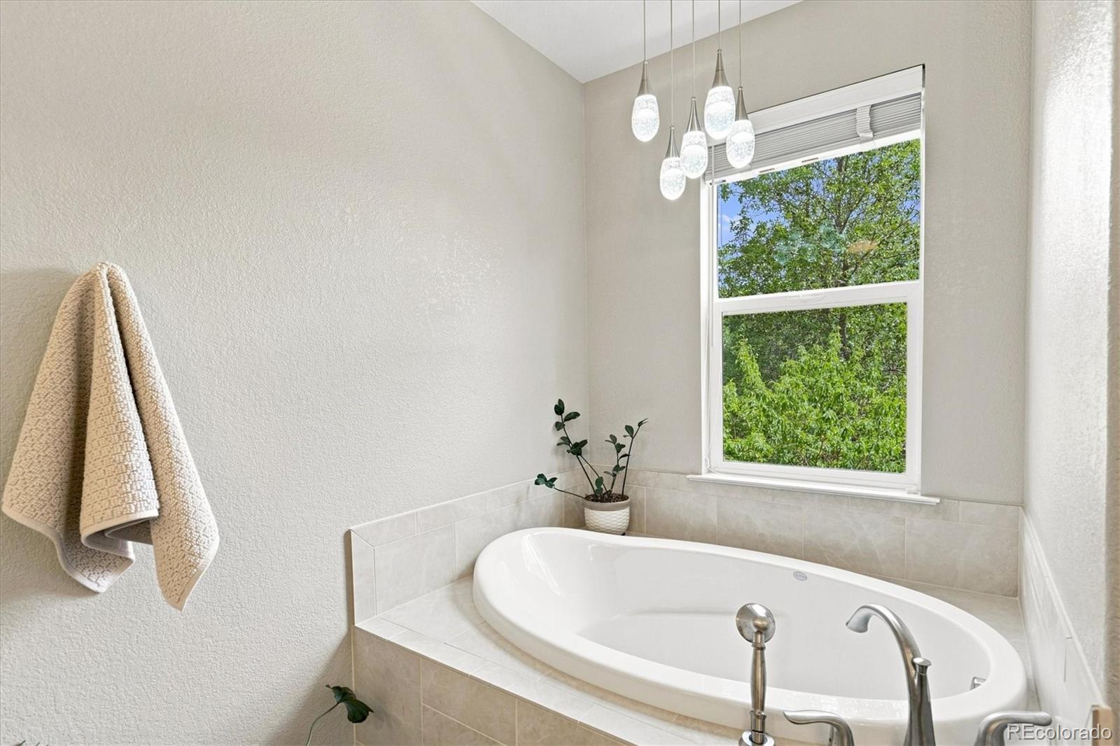 MLS Image #35 for 649 w burgundy street c,highlands ranch, Colorado