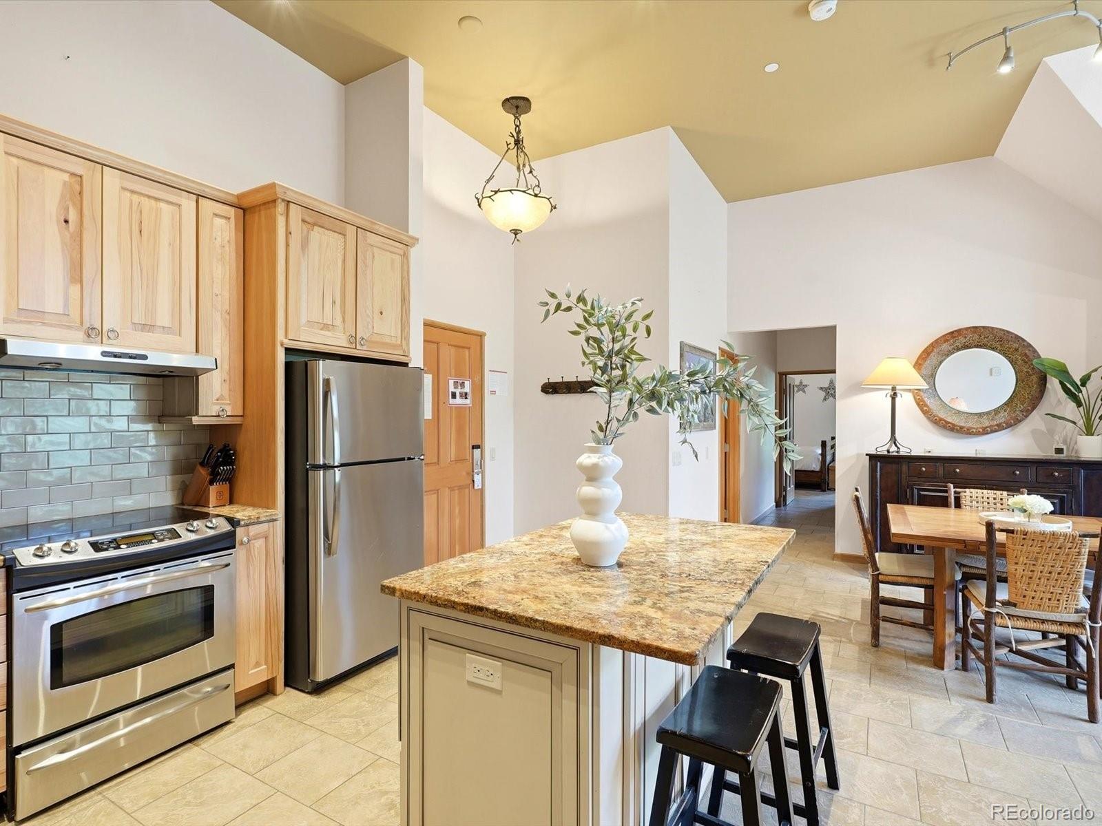 MLS Image #11 for 195  river run road,keystone, Colorado