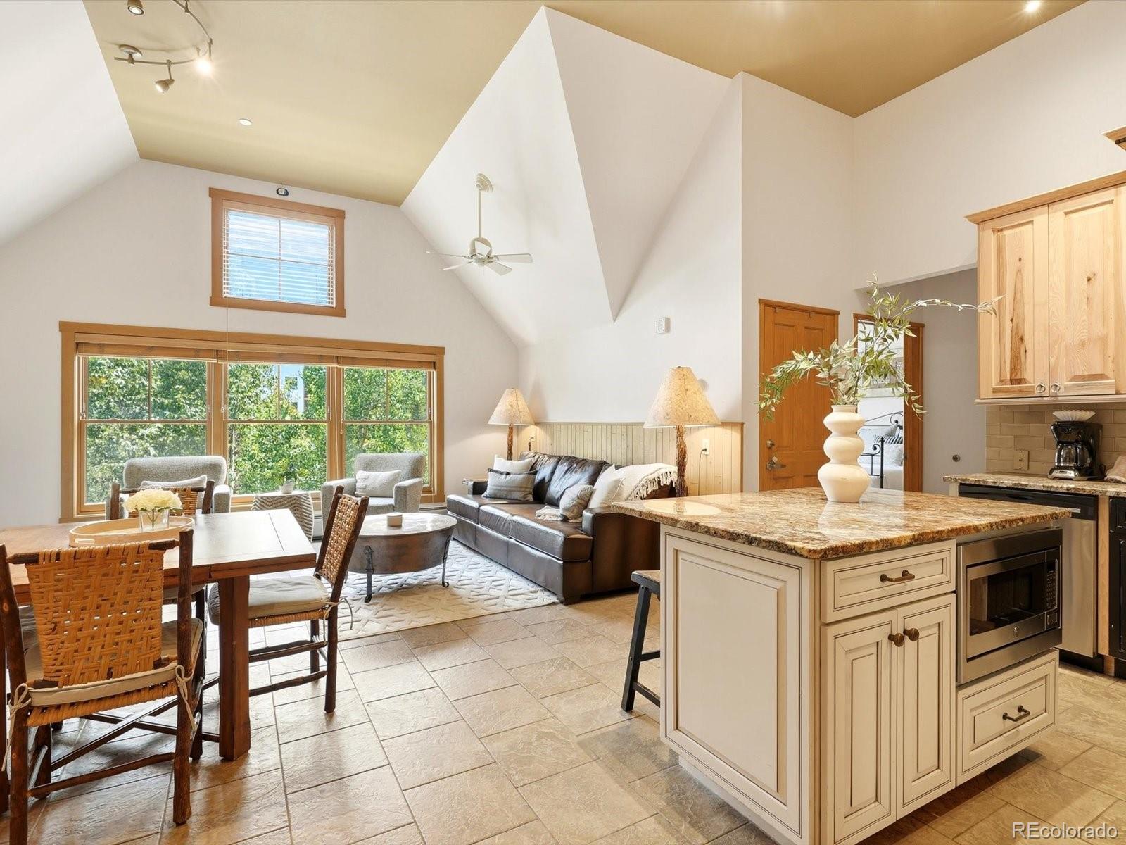MLS Image #13 for 195  river run road,keystone, Colorado