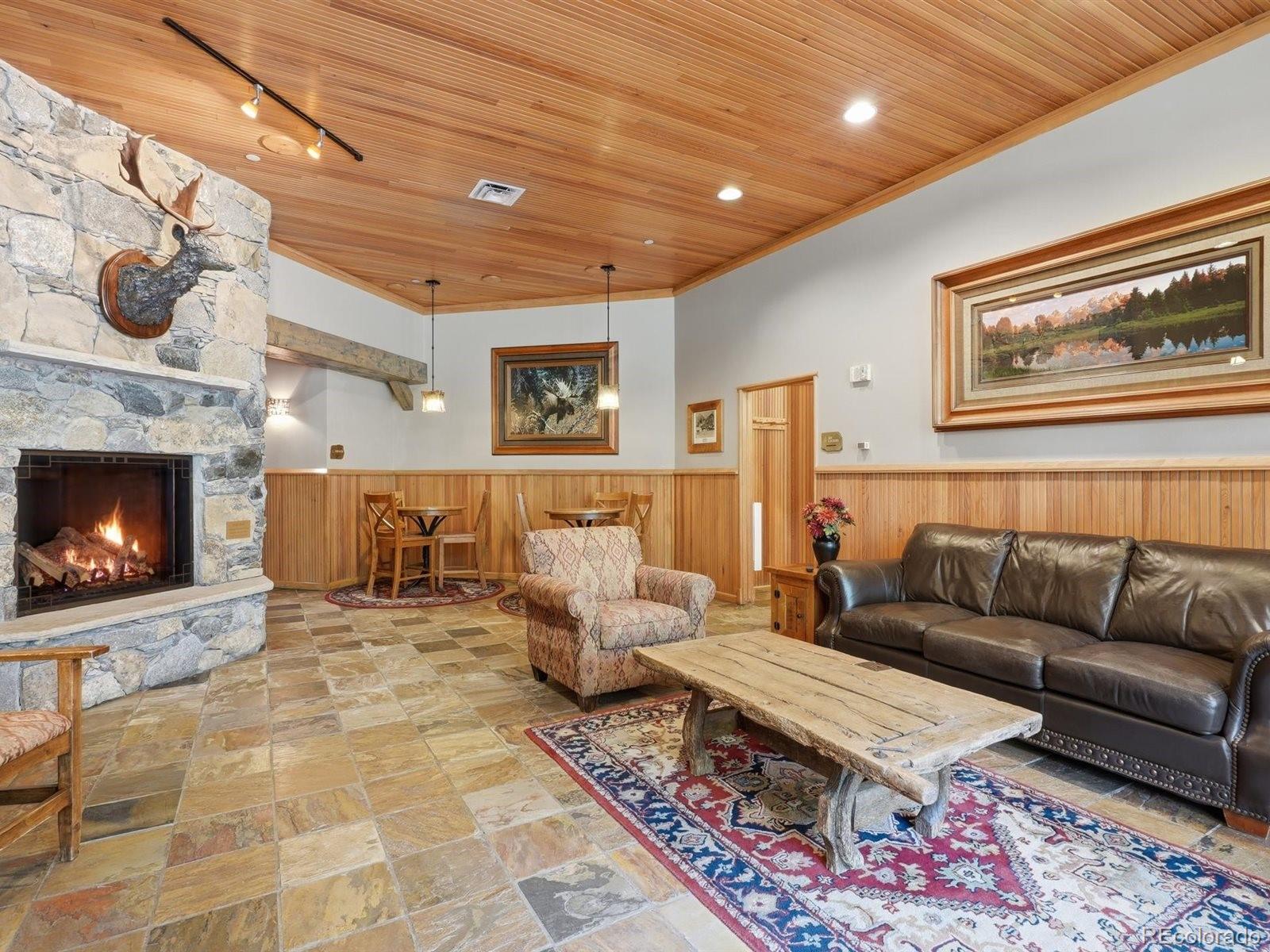 MLS Image #22 for 195  river run road,keystone, Colorado