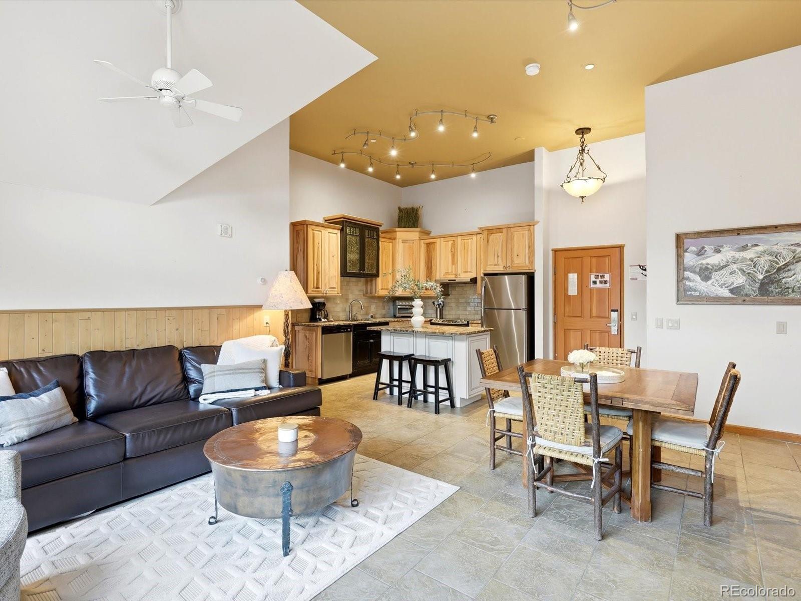 MLS Image #6 for 195  river run road,keystone, Colorado