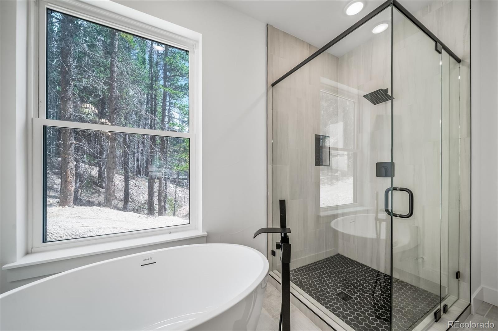 MLS Image #23 for 717  alice road,idaho springs, Colorado