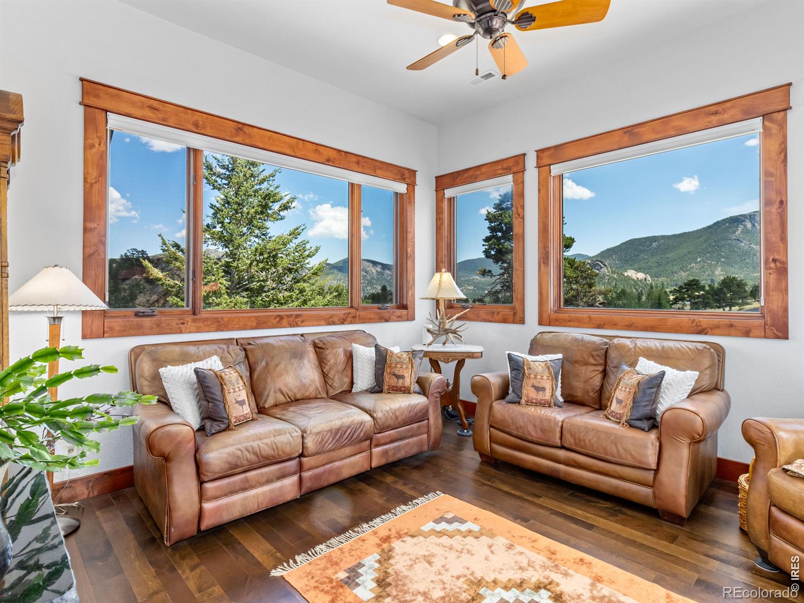 MLS Image #14 for 3000  kiowa trail,estes park, Colorado