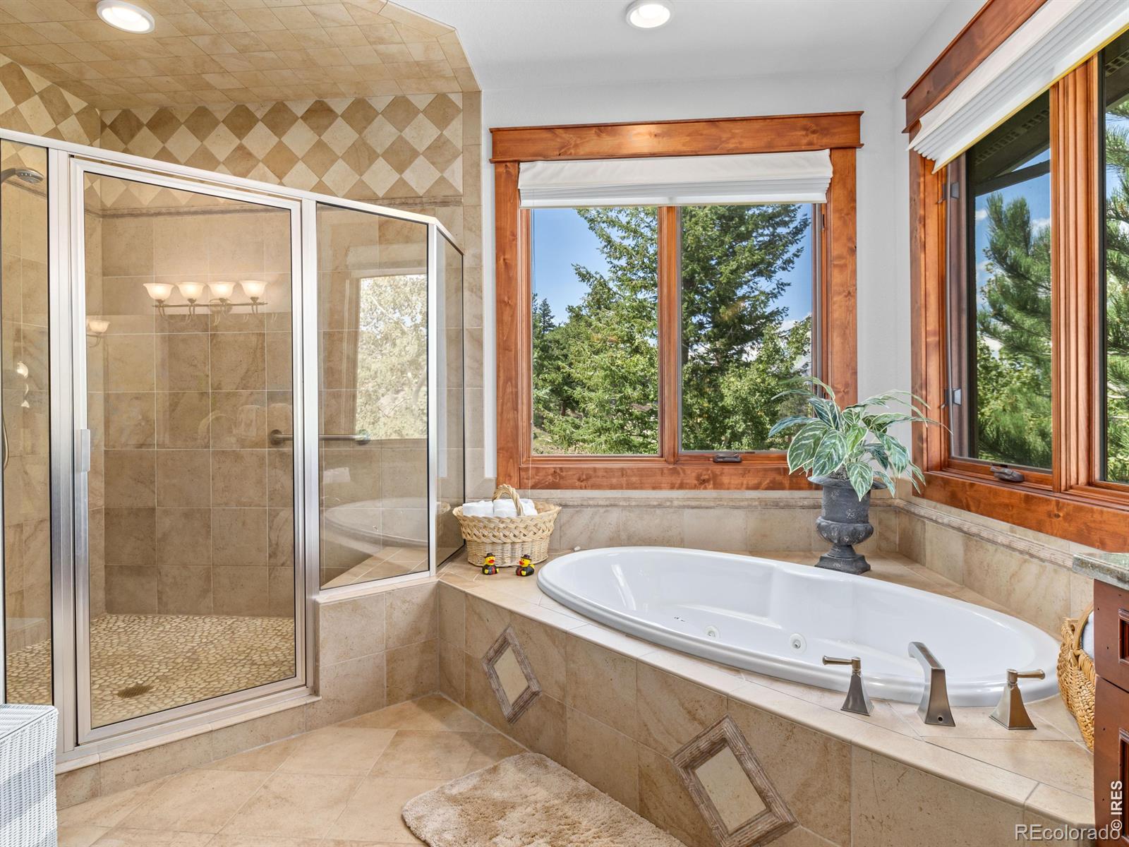 MLS Image #27 for 3000  kiowa trail,estes park, Colorado
