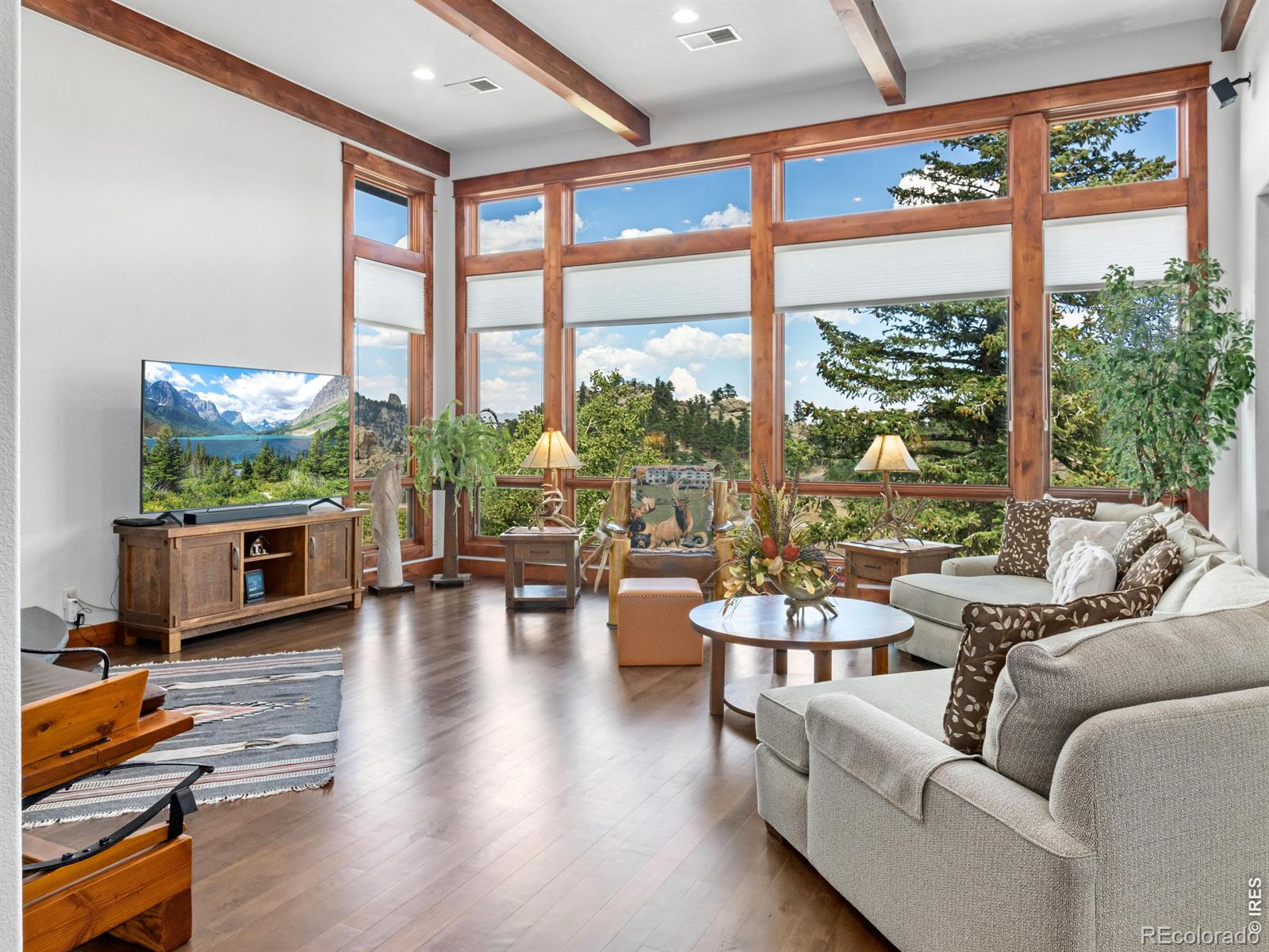 MLS Image #8 for 3000  kiowa trail,estes park, Colorado