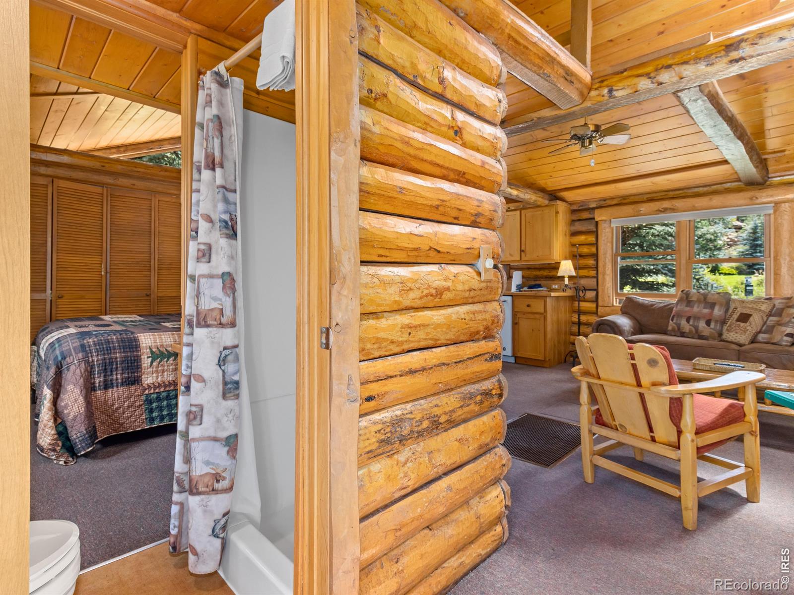 MLS Image #22 for 1850  fall river road,estes park, Colorado