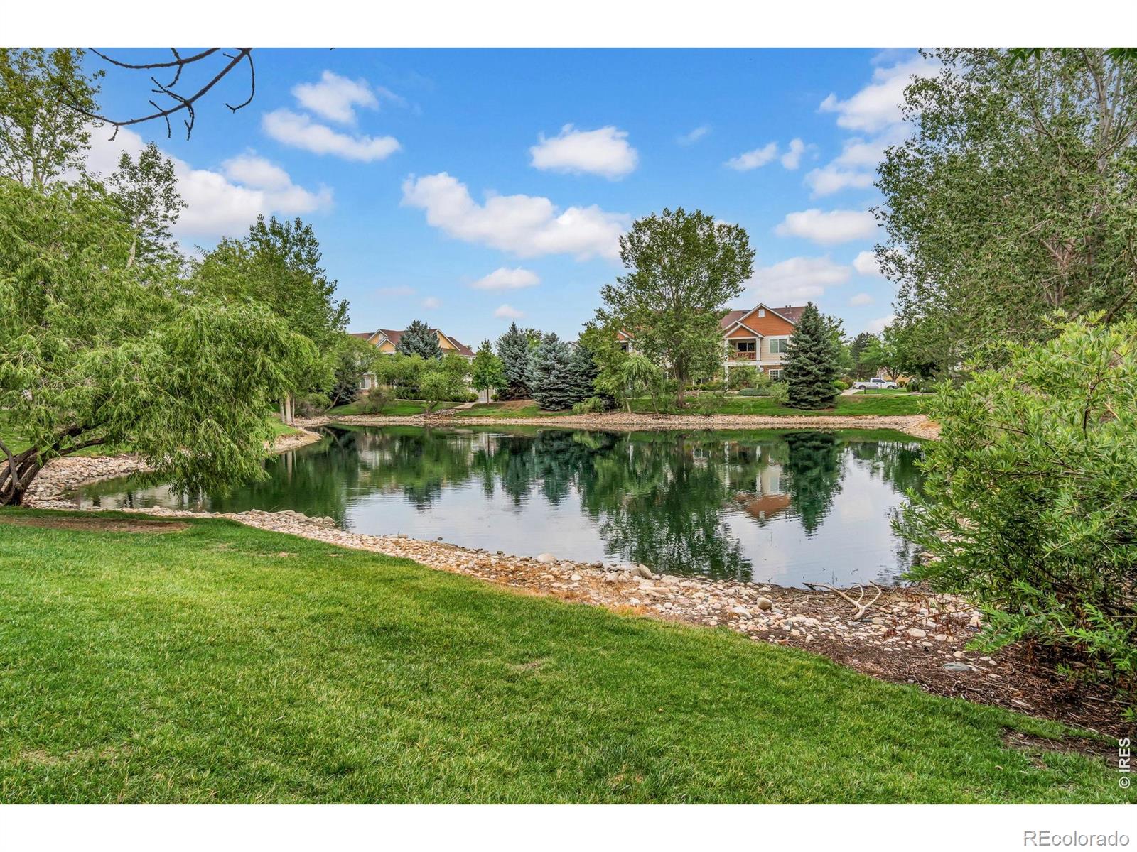 MLS Image #23 for 4715  hahns peak drive,loveland, Colorado