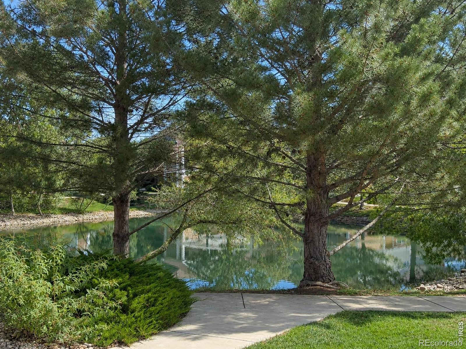 MLS Image #33 for 4715  hahns peak drive,loveland, Colorado