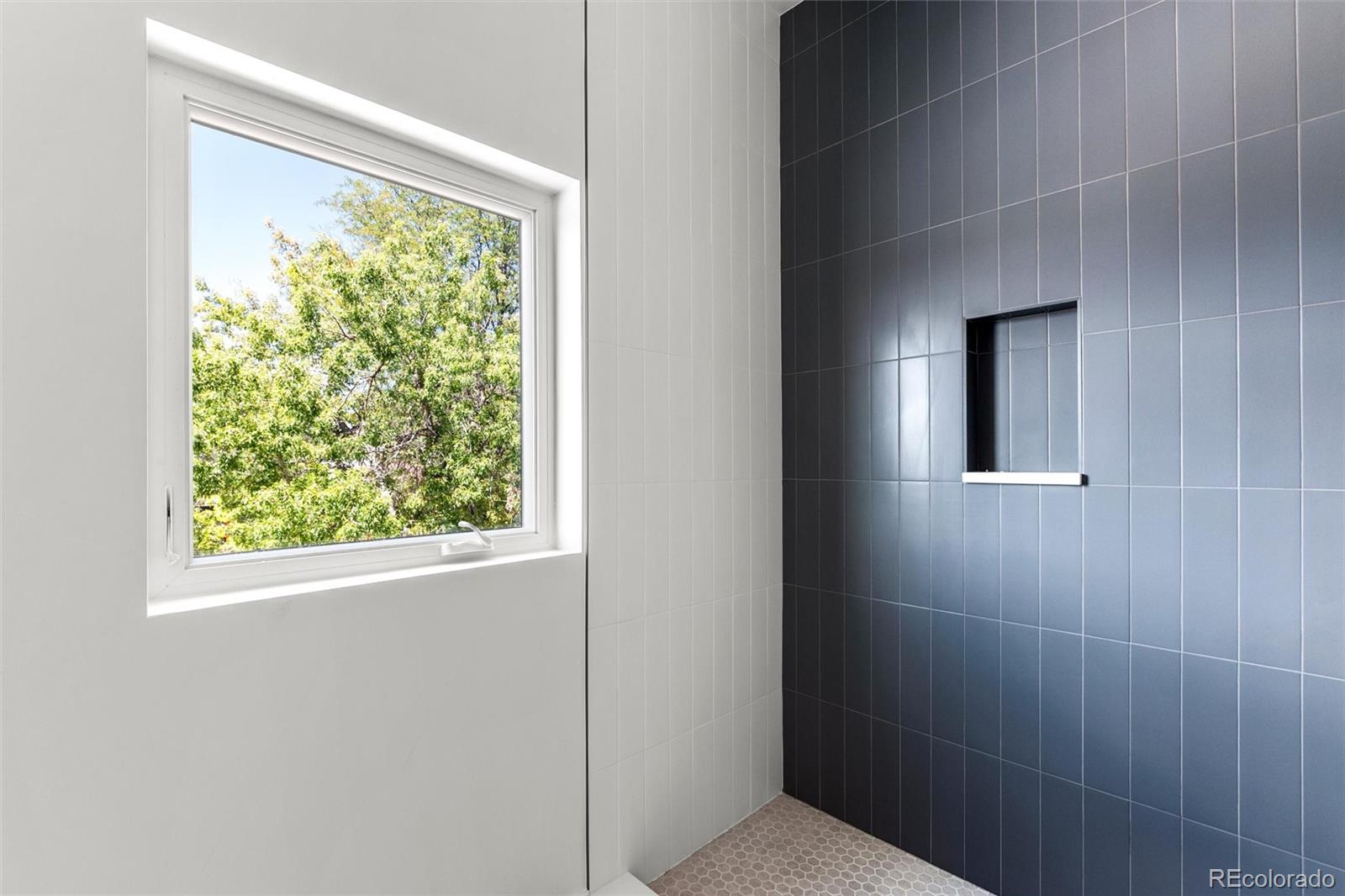 MLS Image #18 for 1304  raleigh street ,denver, Colorado
