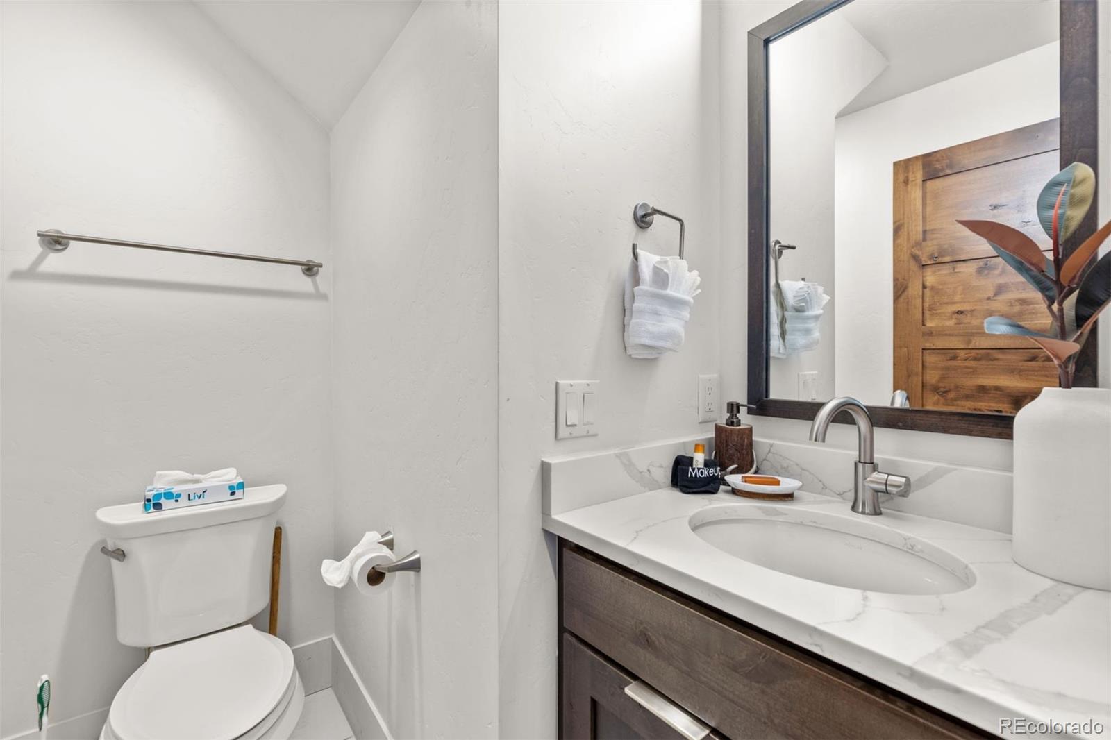MLS Image #13 for 1060  blue river parkway,silverthorne, Colorado