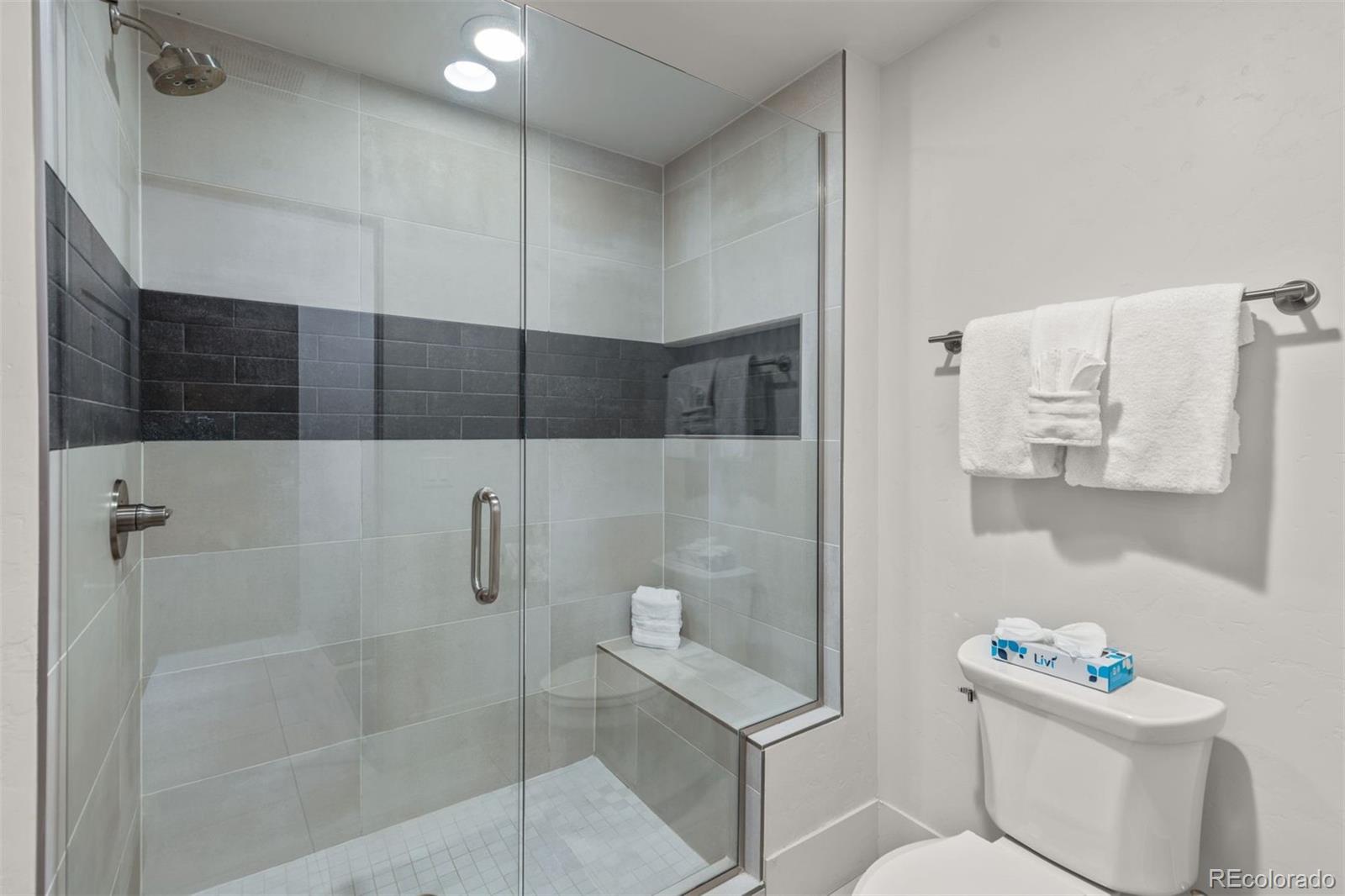 MLS Image #20 for 1060  blue river parkway,silverthorne, Colorado