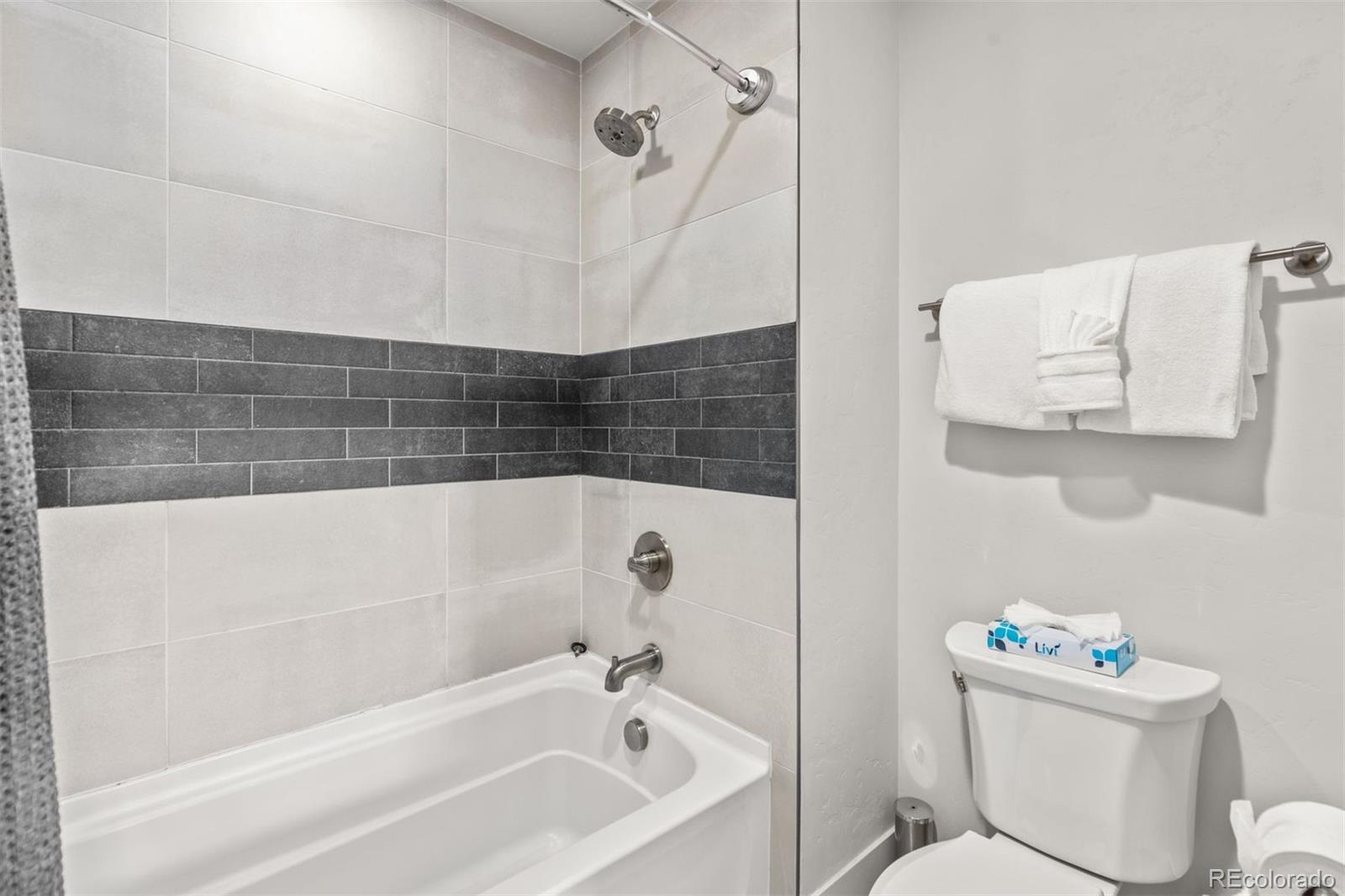 MLS Image #23 for 1060  blue river parkway,silverthorne, Colorado